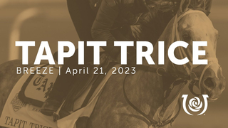 Tapit Trice Works 4.21